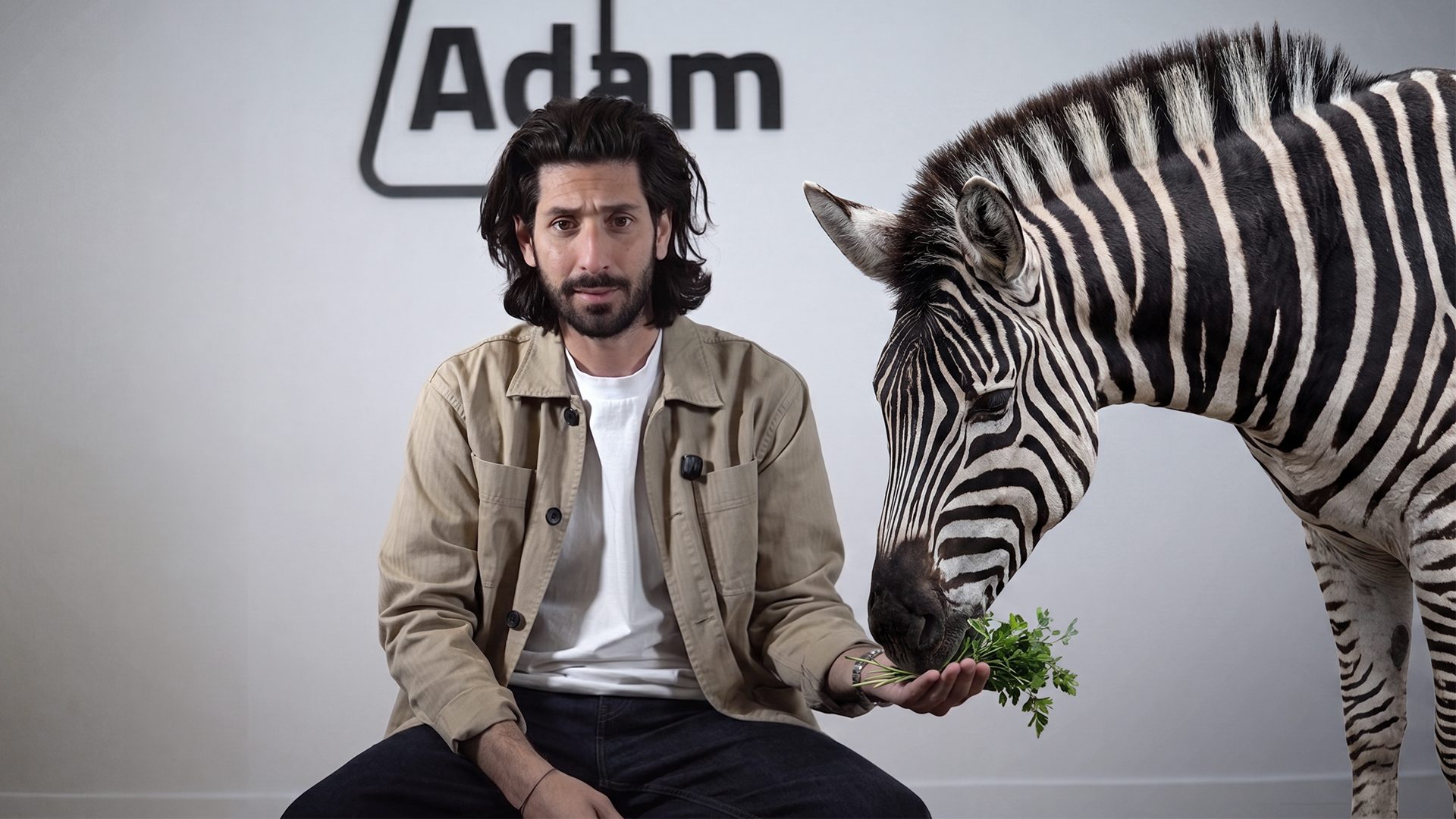 Jonathan et le zèbre de l’agence ADAM